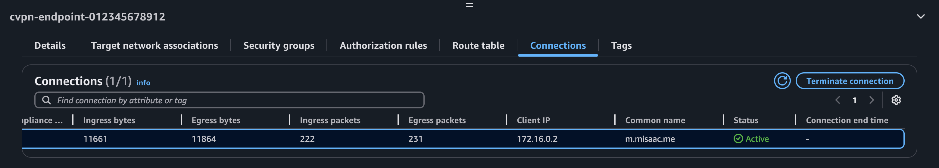 Image showing an active AWS Client VPN connection with identifiers such as the x.509 certificate common name